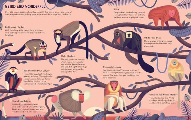 Mad-About-Monkeys-Owen-Davey-Illustration-Weird-Wonderful_1000