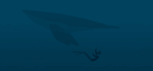 pawhale