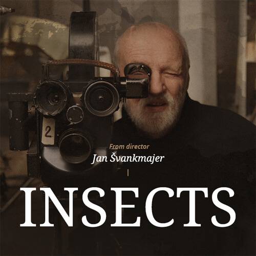 The title photo of Jan Švankmajer's Indiegogo campaign for his last feature film, Insects (©Athanor)