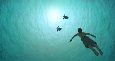 the-red-turtle-still-7-630x336