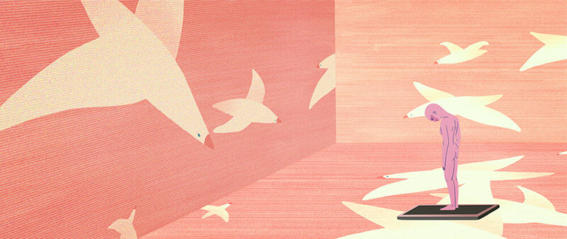 Fl&oacute;ra Anna Buda's Entropia